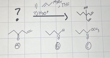 7
1) N Mg Br
"
2) H30+
B
THE
I
OH
-OCH3
Ⓒ