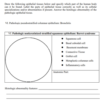 Answered: Draw The Following Epithelial Tissues… | Bartleby