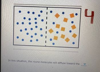 In this situation, the round molecules will diffuse toward the
4