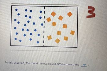 1000
In this situation, the round molecules will diffuse toward the
3