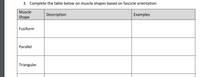 3. Complete the table below on muscle shapes based on fascicle orientation.
Muscle
Description
Examples
Shape
Fusiform
Parallel
Triangular
