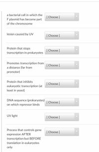 a bacterial cell in which the
[ Choose ]
F plasmid has become part
of the chromosome
lesion caused by UV
[ Choose ]
Protein that stops
[ Choose ]
transcription in prokaryotes
Promotes transcription from
a distance (far from
[ Choose ]
promoter)
Protein that inhibits
[ Choose ]
eukaryotic transcription (at
least in yeast)
DNA sequence (prokaryotes)
[ Choose ]
on which repressor binds
UV light
[ Choose ]
Process that controls gene
[ Choose ]
expression AFTER
transcription but BEFORE
translation in eukaryotes
only
