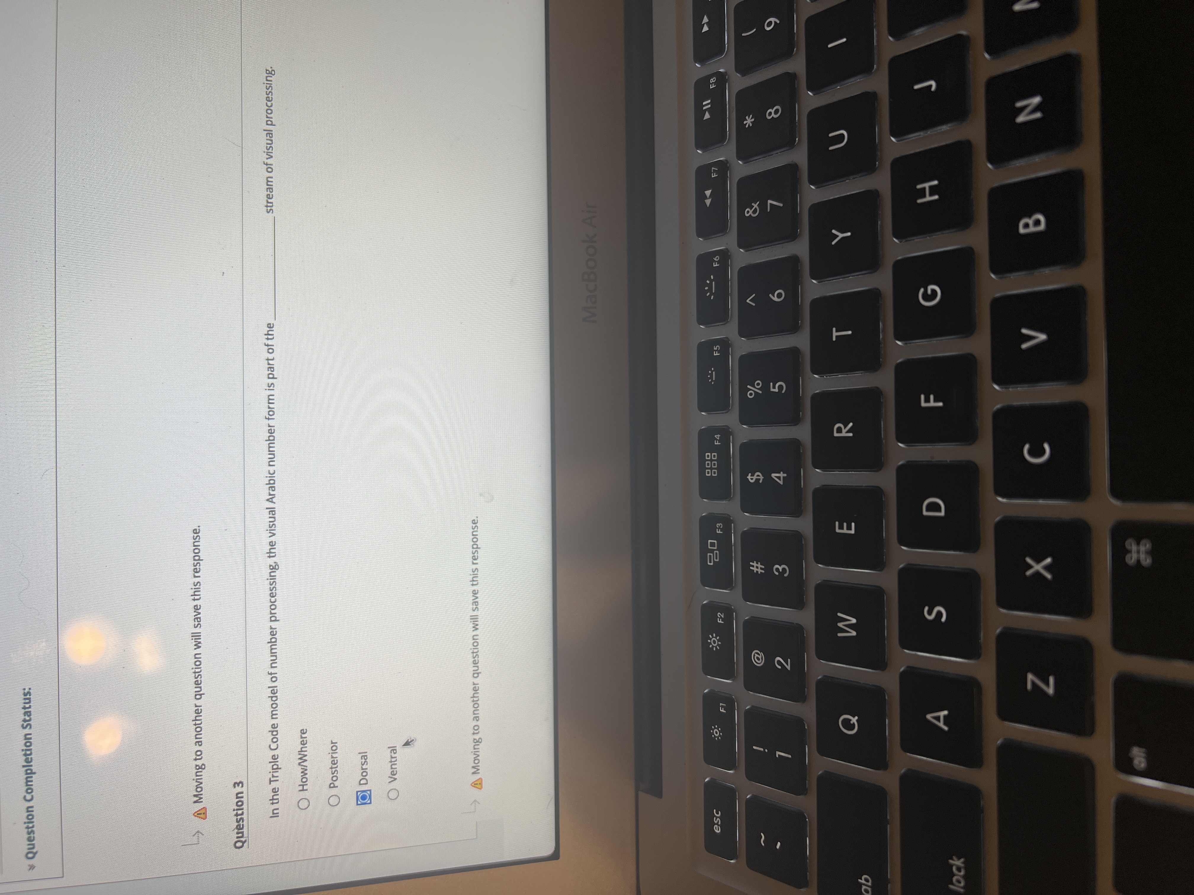 FL
B
%#3
* Question Completion Status:
A Moving to another question will save this response.
Question 3
stream of visual processing.
In the Triple Code model of number processing, the visual Arabic number form is part of the
O How/Where
O Posterior
O Dorsal
O Ventral
A Moving to another question will save this response.
MacBook Air
F1
F2
F3
F4
F5
24
4.
%23
2
7.
5.
9-
q0
A
G
H
lock
38
