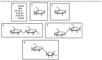 The image contains six diagrams of chemical structures, which appear to represent different forms of carbohydrates. Below is a transcription and detailed description for each numbered structure:

1. **Structure 1:**
   - This is a linear structure showing D-glucose in its Fischer projection form. The formula depicted is CH₂OH-CHOH-HO-CHOH-H-C=O-CH₂OH.
   - At the center is an aldehyde group (CO), with hydroxyl groups (OH) attached to the carbon chain.

2. **Structure 2:**
   - This structure is a cyclic form of glucose, called the Haworth projection. It shows the glucose molecule in its beta-D-glucose form.
   - The hydroxyl groups are oriented above the plane at C-1 and below at C-2, C-3, and above at C-4.

3. **Structure 3:**
   - This is another cyclic form of glucose, also in the Haworth projection, representing alpha-D-glucose.
   - The hydroxyl group at C-1 is below the plane, while hydroxyl groups at C-2 and C-4 are above.

4. **Structure 4:**
   - This diagram shows a disaccharide formed by two glucose units, appearing to represent maltose.
   - The linkage is an alpha-1,4-glycosidic bond, capturing the bond between the C-1 of one glucose and C-4 of the other.

5. **Structure 5:**
   - This structure is a polysaccharide chain, likely showcasing a segment of amylose or starch.
   - The glucose units are connected through alpha-1,4-glycosidic bonds, creating a helical formation.

6. **Structure 6:**
   - This diagram displays a branched polysaccharide, probably glycogen or amylopectin.
   - The connection includes both alpha-1,4- and alpha-1,6-glycosidic linkages, with the latter indicating branching.

These representations illustrate various structural forms of glucose and its polymers, highlighting key differences in stereochemistry and bonding that affect their biological function and properties.