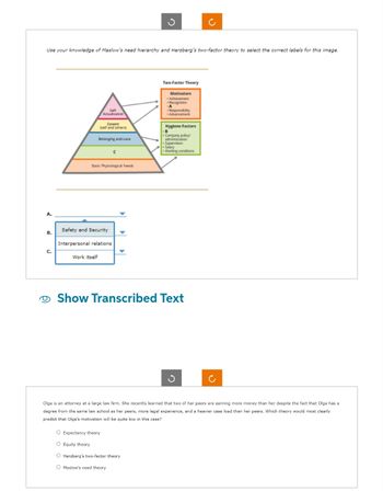 Use your knowledge of Maslow's need hierarchy and Herzberg's two-factor theory to select the correct labels for this image.
A.
B.
C.
Self-
Actualization
Esteem
(self and others)
Belonging and Love
Basic Physiological Needs
Safety and Security
Work itself
Interpersonal relations
с
Two-Factor Theory
Motivators
•Achievement
Recognition
-A
O Expectancy theory
O Equity theory
O Herzberg's two-factor theory
O Maslow's need theory
Responsibility
Advancement
Hygiene Factors
Company policy/
administration
Supervision
Salary
Working conditions
Show Transcribed Text
Olga is an attorney at a large law firm. She recently learned that two of her peers are earning more money than her despite the fact that Olga has a
degree from the same law school as her peers, more legal experience, and a heavier case load than her peers. Which theory would most clearly
predict that Olga's motivation will be quite low in this case?