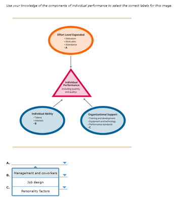 Use your knowledge of the components of individual performance to select the correct labels for this image.
A.
B.
C.
Individual Ability
Talents
Interests
Management and coworkers
Job design
Personality factors
Effort Level Expended
Motivation
.Work ethic
Attendance
Individual
Performance
(including quantity
and quality)
Organizational Support
Training and development
*Equipment and technology
• Performance standards