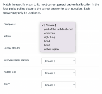 Match the specific organ to its most correct general anatomical location in the
fetal pig by pulling down to the correct answer for each question. Each
answer may only be used once.
hard palate
spleen
urinary bladder
interventricular septum
middle lobe
ovary
✓ [Choose ]
part of the umbilical cord
abdomen
right lung
head
heart
pelvic region
[Choose ]
[Choose ]
[Choose ]