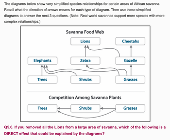 The diagrams below show very simplified species relationships for certain areas of African savanna.
Recall what the direction of arrows means for each type of diagram. Then use these simplified
diagrams to answer the next 3 questions. (Note: Real-world savannas support more species with more
complex relationships.)
Elephants
Trees
Trees
Savanna Food Web
Lions
Zebra
Shrubs
Competition Among Savanna Plants
Shrubs
Cheetahs
Gazelle
Grasses
Grasses
Q5.6. If you removed all the Lions from a large area of savanna, which of the following is a
DIRECT effect that could be explained by the diagrams?