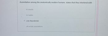 Assimilation among the anatomically modern humans states that they interbred with
H. erectis
H. habilis
only Neandertals
all archaic populations