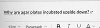 Why are agar plates incubated upside down?
12pt v
Paragraph
U A v
