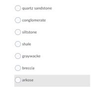 O quartz sandstone
O conglomerate
O siltstone
O shale
O graywacke
O breccia
O arkose
