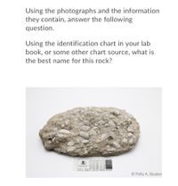 Using the photographs and the information
they contain, answer the following
question.
Using the identification chart in your lab
book, or some other chart source, what is
the best name for this rock?
-... ..
© Polly A. Bouker
