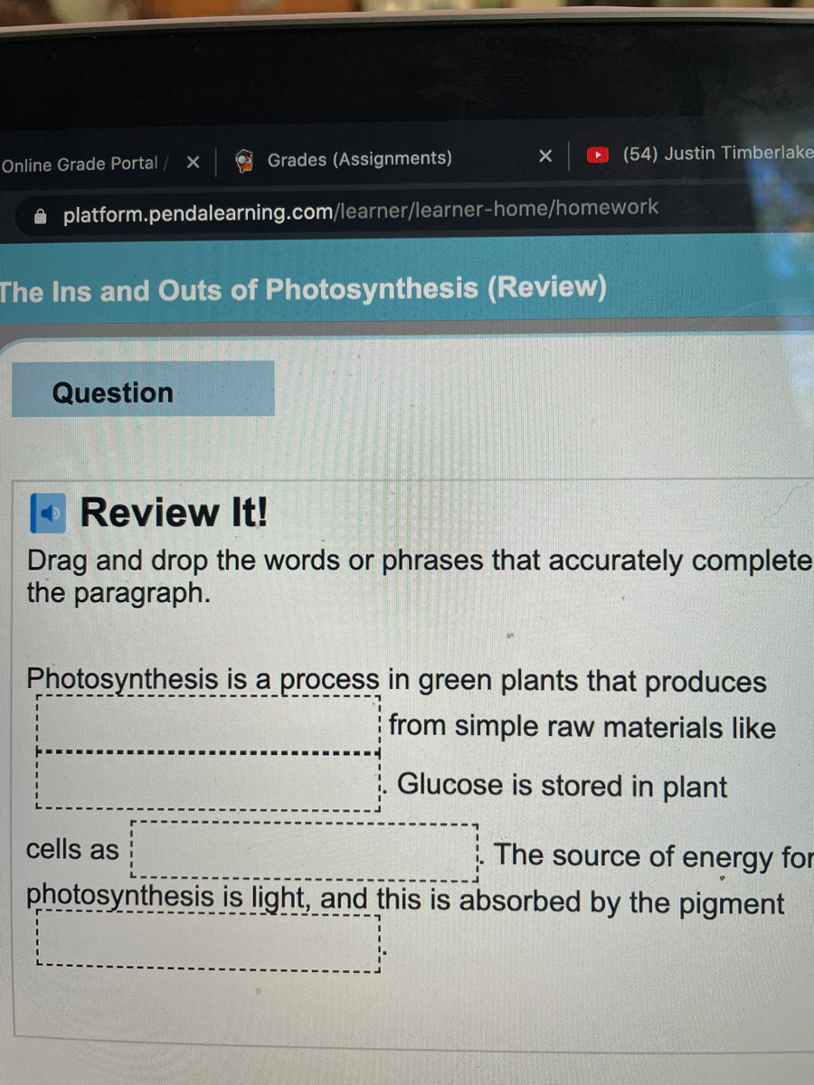 photosynthesis paragraph