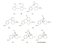 H
NC
H,N-
H,PO,
Meo
(A)
(B)
(C)
H
NaBH,
(redraw)
H,PO,
MeO
MeO
MeO
(D)
(E)
H,C
EtO
MeO
MeO
MeO
(F)
(G)
Racemethorphan
