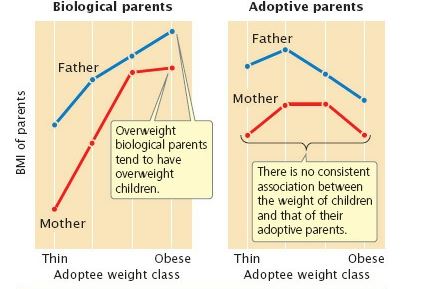 Answered: Biological Parents Adoptive Parents… | Bartleby