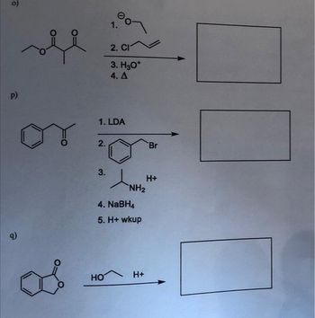 P)
9)
2.
3.
1.
1. LDA
00
но
2. CI
3. H3O+
4. A
4. NaBH4
5. H+ wkup
NH₂
H+
Br
H+