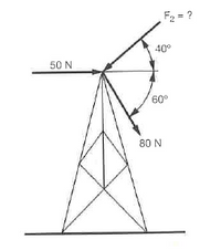 F2 = ?
40°
50 N
60°
80 N
