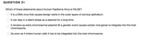 QUESTION 21
Which of these statements about Human Papilloma Virus is FALSE?
It is a DNA virus that causes benign warts in the outer layers of cervical epithelium.
It can stay in a latent phase as a plasmid for a long time.
It remains as extra chromosomal plasmid tilla genetic event causes certain viral genes to integrate into the host
chromosome.
As soon as it enters human cells it has to be integrated into the host chromosome.
