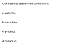 **Question:**

Chromosomes attach to the spindle during

a) anaphase.

b) metaphase.

c) prophase.

d) telophase. 

**Explanation:**

This question is about the phases of mitosis, which is the process of cell division. Understanding the correct phase when chromosomes attach to the spindle is crucial for grasping cell division mechanisms.

- **Prophase**: Chromosomes condense and the nuclear envelope breaks down. Spindle fibers begin to form and attach to chromosomes.
- **Metaphase**: Chromosomes align at the metaphase plate, attached to spindle fibers.
- **Anaphase**: Chromosomes are pulled apart to opposite poles of the cell.
- **Telophase**: Chromosomes arrive at the poles, and the nuclear envelope re-forms.

Thus, the correct answer is **c) prophase**, when chromosomes start attaching to the spindle apparatus.