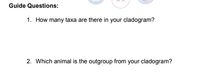 Guide Questions:
1. How many taxa are there in your cladogram?
2. Which animal is the outgroup from your cladogram?
