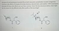 Atropine (I) and Ipratropium bromide (II) are both muscarinic acetylcholine receptor antagonists.
Common side effects of atropine (1) include dizziness, blurred vision, and sedation. With Ipratropium
bromide (II) these side effects are much less common. Given the two structures below, what might
be the reason for the different side-effect profile of the two drugs?
Br
HO
HO
