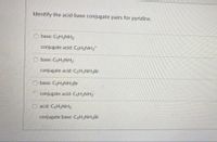 Identify the acid-base conjugate pairs for pyridine.
O base: CSHNH2
conjugate acid: CSH3NH,
base: CSH3NH2
conjugate acid: CsH3NH3Br
base: CsH3NH3Br
conjugate acid: CSH3NH2
O acid: CSH3NH2
conjugate base: CSH3NH3Br
