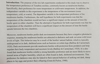 Introduction: The purpose of the two lab experiments conducted in this study was to observe
the temperature preference of Tenebrio molitor, commonly known as mealworm beetles.
Specifically, their preference for room temperature or cold/warm temperature. In addition, the
independent variable in this experiment is the temperature of the environment (room
temperature, cold, or warm). The dependent variable is the temperature preference of the
mealworm beetles. Furthermore, the null hypothesis for both experiments was that the
temperature of the chambers would not have a significant impact on the amount of time the
beetle spent in either chamber. Then the alternative hypothesis for both experiments was that the
temperature of the chambers will have a significant impact on the amount of time the beetle
spends between the two chambers.
Moreover, mealworm beetles prefer dark environments because they have a negative phototactic
response, meaning the mealworm beetles are attracted to darkness and seek out areas with lower
levels of light. This behavior may be a result of the beetles' natural habitat, which is typically
underground or in dark, sheltered areas such as burrows or rotten logs (Balfour & Carmichael,
1928). Dark environments provide mealworm beetles with protection from predators and help
regulate their body temperature and moisture levels (Balfour & Carmichael, 1928). It is also
found that mealworm beetles exhibit a strong humidity preference and are more likely to move
toward areas of higher humidity, which are often found in dark, sheltered environments. This
preference for darkness may also be linked to their natural behavior of seeking out dark, damp
places to lay eggs and protect their offspring (Gunn & Pielou, 1940).