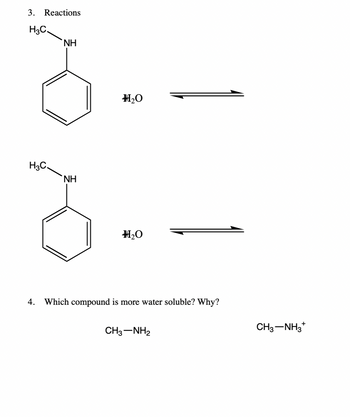 Answered: 3. Reactions H3C H3C NH NH #₂0 #₂0 4.… | Bartleby