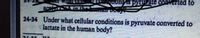 ons is pyruxate converted to
24-34 Under what cellular conditions is pyruvate converted to
lactate in the human body?
