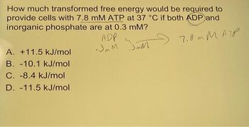 How much transformed free energy would be required to
provide cells with 7.8 mM ATP at 37 °C if both ADP and
inorganic phosphate are at 0.3 mm?
ADP
7,8 м Матр
•3mm 3mM
A. +11.5 kJ/mol
B. -10.1 kJ/mol
C. -8.4 kJ/mol
D. -11.5 kJ/mol