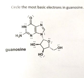 Circle the most basic electrons in guanosine.
HN
H₂N
guanosine
HO
N:
HO.
OH