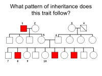 What pattern of inheritance does
this trait follow?
1
15
7 8 9
10
