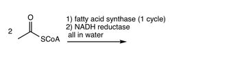 2
SCOA
1) fatty acid synthase (1 cycle)
2) NADH reductase
all in water