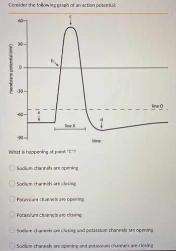 Answered: Consider the following graph of an… | bartleby