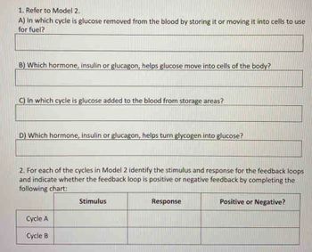 1. Refer to Model 2,
A) in which cycle is glucose removed from the blood by storing it or moving it into cells to use
for fuel?
B) Which hormone, insulin or glucagon, helps glucose move into cells of the body?
C) In which cycle is glucose added to the blood from storage areas?
D) Which hormone, insulin or glucagon, helps turn glycogen into glucose?
2. For each of the cycles in Model 2 identify the stimulus and response for the feedback loops
and indicate whether the feedback loop is positive or negative feedback by completing the
following chart:
Stimulus
Response
Positive or Negative?
Cycle A
Cycle B