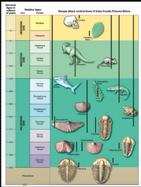 Answered: Analyze the cross-section above and… | bartleby