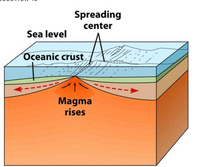 Spreading
center
Sea level
Oceanic crust
Magma
rises
