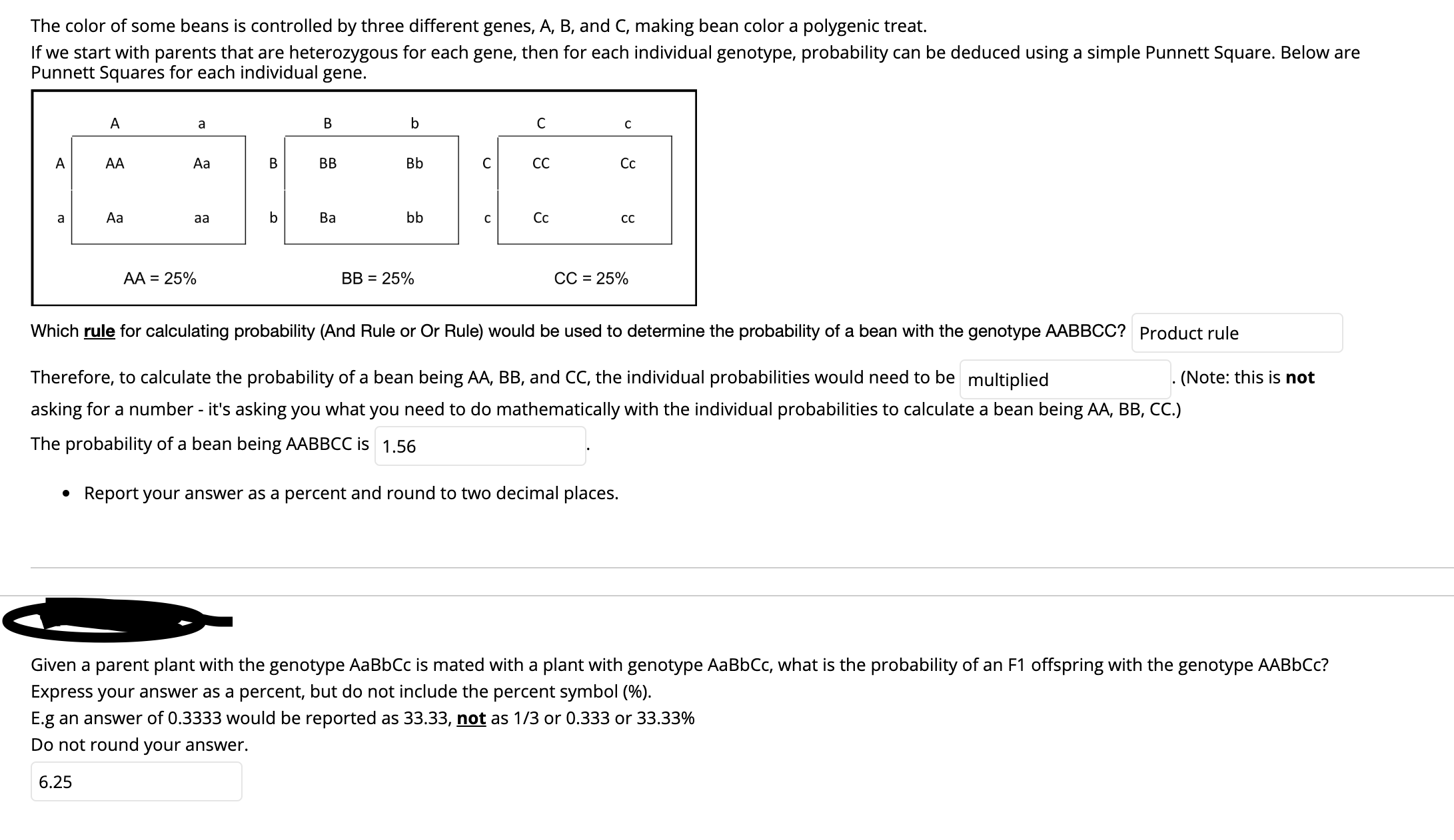 The color of some beans is controlled by three different genes, A, B, and C, making bean color a polygenic treat.
If we start with parents that are heterozygous for each gene, then for each individual genotype, probability can be deduced using a simple Punnett Square. Below are
Punnett Squares for each individual gene.
B
a
Cc
Bb
AA
Aa
B
BB
CC
bb
Aa
Ba
Cc
a
aa
CC
BB = 25%
CC = 25%
AA = 25%
Which rule for calculating probability (And Rule or Or Rule) would be used to determine the probability of a bean with the genotype AABBCC? Product rule
Therefore, to calculate the probability of a bean being AA, BB, and CC, the individual probabilities would need to be multiplied
(Note: this is not
asking for a number - it's asking you what you need to do mathematically with the individual probabilities to calculate a bean being AA, BB, CC.)
The probability of a bean being AABBCC is 1,56
• Report your answer as a percent and round to two decimal places.
Given a parent plant with the genotype AaBbCc is mated with a plant with genotype AaBbCc, what is the probability of an F1 offspring with the genotype AABBCC?
Express your answer as a percent, but do not include the percent symbol (%).
E.g an answer of 0.3333 would be reported as 33.33, not as 1/3 or 0.333 or 33.33%
Do not round your answer.
6.25
