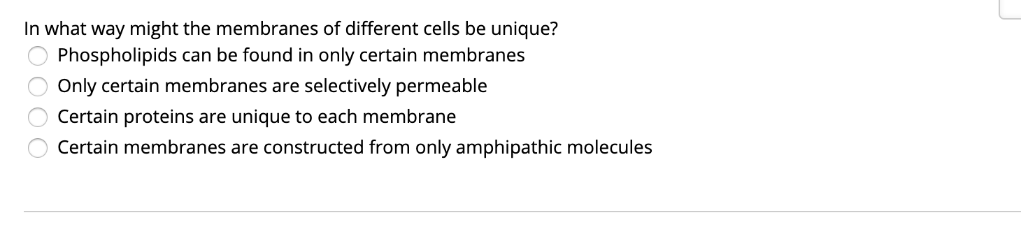 In what way might the membranes of different cells be unique?
Phospholipids can be found in only certain membranes
Only certain membranes are selectively permeable
Certain proteins are unique to each membrane
Certain membranes are constructed from only amphipathic molecules
