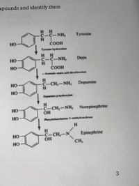 The image depicts a biochemical pathway illustrating the synthesis of catecholamines from the amino acid tyrosine. Here is a detailed explanation of each step shown in the diagram:

1. **Tyrosine**:
   - Chemical Structure: Contains a benzene ring, a hydroxyl group (OH), an amino group (NH2), and a carboxyl group (COOH).
   - Reaction: Tyrosine undergoes hydroxylation.

2. **Dopa**:
   - Enzyme: Tyrosine hydroxylase facilitates the conversion of tyrosine to Dopa by adding a hydroxyl group.
   - Chemical Structure: Similar to tyrosine, but with an additional hydroxyl group on the benzene ring.

3. **Dopamine**:
   - Enzyme: L-aromatic amino acid decarboxylase converts Dopa into Dopamine by removing the carboxyl group.
   - Chemical Structure: Contains a benzene ring, two hydroxyl groups, and an amine group.

4. **Norepinephrine**:
   - Enzyme: Dopamine β-hydroxylase catalyzes the addition of a hydroxyl group to form Norepinephrine.
   - Chemical Structure: Contains a benzene ring with two hydroxyl groups and an ethylamine side chain with an additional hydroxyl group.

5. **Epinephrine**:
   - Enzyme: Phenylethanolamine N-methyltransferase completes the final step, converting Norepinephrine to Epinephrine by adding a methyl group to the amine.
   - Chemical Structure: Consists of a benzene ring, two hydroxyl groups, and a methylated ethylamine side chain.

Each step reflects a specific enzyme-catalyzed reaction necessary for the biosynthesis of these important neurotransmitters and hormones.