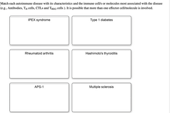 Match each autoimmune disease with its characteristics and the immune cell/s or molecules most associated with the disease
(e.g., Antibodies, T cells, CTLs and TREG cells). It is possible that more than one effector cell/molecule is involved.
IPEX syndrome
Type 1 diabetes
Rheumatoid arthritis
Hashimoto's thyroiditis
APS-1
Multiple sclerosis