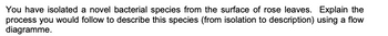 You have isolated a novel bacterial species from the surface of rose leaves. Explain the
process you would follow to describe this species (from isolation to description) using a flow
diagramme.