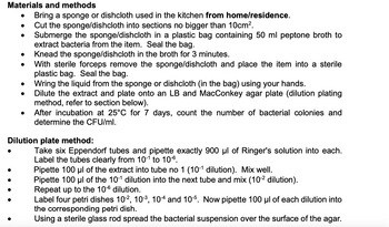 Your Kitchen Sponge Is a Better Home for Bacteria Than a Petri