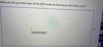 What are the possible fates of the G3P molecule that leaves the Calvin cycle?
I
Question 32 options:
A
B3
Chro
Shot
31.58 P