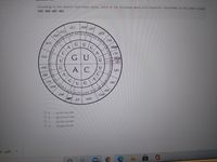 w/opCulGACU GAC UC 4C
According to the Genetic Code Sheet below, which of the following amino acid sequences corresponds to this MRNA strand?
CỤC AAG UGC UUC
PHE
GLU
ASP
SER
ALA
TYR
U
A
STOP
A
GU
VAL
U CIS
U
U
G
A STOP
IG
TRP
ARG
AC
U
LEU
SER
UG
PRO
ASN
HIS
THE
GLN
MET
ILE
ARG
O a
lys-leu-cys-phe
O b
glu-cys-pro-phe
leu-lys-cys-phe
O d
leu-glu-leu-val
U...pdf
