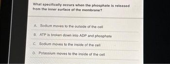 What specifically occurs when the phosphate is released
from the inner surface of the membrane?
A. Sodium moves to the outside of the cell
B. ATP is broken down into ADP and phosphate
C. Sodium moves to the inside of the cell
D. Potassium moves to the inside of the cell