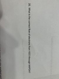 26. What is the correct flow of electrons from H2O through NAPDH?
