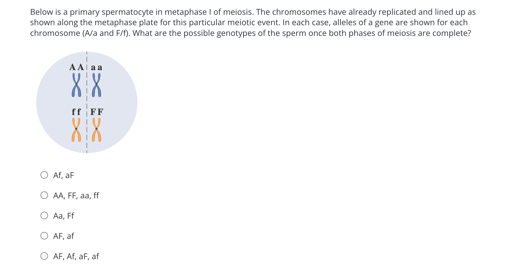 Below is a primary spermatocyte in metaphase I of meiosis. The chromosomes have already replicated and lined up as
shown along the metaphase plate for this particular meiotic event. In each case, alleles of a gene are shown for each
chromosome (A/a and F/f). What are the possible genotypes of the sperm once both phases of meiosis are complete?
A Alaa
XX
ff FF
Af, aF
O AA, FF, aa, ff
Aa, Ff
AF, af
O AF, Af, aF, af