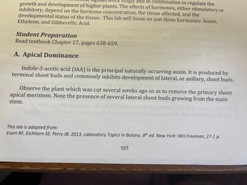 PR Singly and in combination to regulate the
growth and development of higher plants. The effects of hormones, either stimulatory or
inhibitory, depend on the hormone concentration, the tissue affected, and the
developmental status of the tissue. This lab will focus on just three hormones: Auxin,
Ethylene, and Gibberellic Acid.
Student Preparation
Read textbook Chapter 27, pages 638-659.
LA. Apical Dominance
Indole-3-acetic acid (IAA) is the principal naturally occurring auxin. It is produced by
terminal shoot buds and commonly inhibits development of lateral, or axillary, shoot buds.
Observe the plant which was cut several weeks ago so as to remove the primary shoot
apical meristem. Note the presence of several lateral shoot buds growing from the main
stem.
This lab is adapted from:
Evert RF, Eichhorn SE, Perry JB. 2013. Laboratory Topics in Botany. 8th ed. New York: WH Freeman; 27-1 p.
101