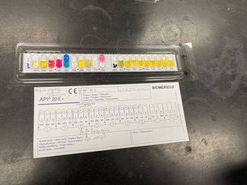 **Title: Understanding the API® 20 E System**

The API® 20 E system is a well-established microbiological tool used for the identification of Enterobacteriaceae and other Gram-negative bacteria. It consists of 20 miniaturized biochemical tests, each of which provides a colorimetric reaction that indicates the presence or absence of certain metabolic processes.

**Components:**

- **Test Strip:** The test strip in the image displays a series of microtubes containing dehydrated substrates. Each tube is inoculated with a bacterial suspension and incubated to allow for a metabolic reaction, which is then assessed based on color changes.

- **Tubes and Tests:** The following tests are included on the strip:
  - **ONPG (Ortho-Nitrophenyl-β-galactoside)**
  - **ADH (Arginine Dihydrolase)**
  - **LDC (Lysine Decarboxylase)**
  - **ODC (Ornithine Decarboxylase)**
  - **CIT (Citrate Utilization)**
  - **H2S (Hydrogen Sulfide Production)**
  - **URE (Urease)**
  - **TDA (Tryptophan Deaminase)**
  - **IND (Indole Production)**
  - **VP (Voges-Proskauer Test)**
  - **GEL (Gelatinase)**
  - **GLU (Glucose)**
  - **MAN (Mannitol)**
  - **INO (Inositol)**
  - **SOR (Sorbitol)**
  - **RHA (Rhamnose)**
  - **SAC (Sucrose)**
  - **MEL (Melibiose)**
  - **AMY (Amygdalin)**
  - **ARA (Arabinose)**

**Interpretation Chart:**

A chart is provided below the test strip, where plus (+) and minus (-) signs indicate results for each test. 

- **Column Annotations:** Numbers under each column often reflect results used in generating a numerical profile for bacterial identification using a database or coding book. 
- **Additional Sections:** Includes boxes for further annotations and a zone for identifying the test kit's reference number (#2) and date (2023/10/12).

**Usage Instructions:**

- **Reagents:** Some